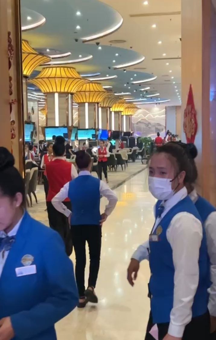 华纳公司客服团队